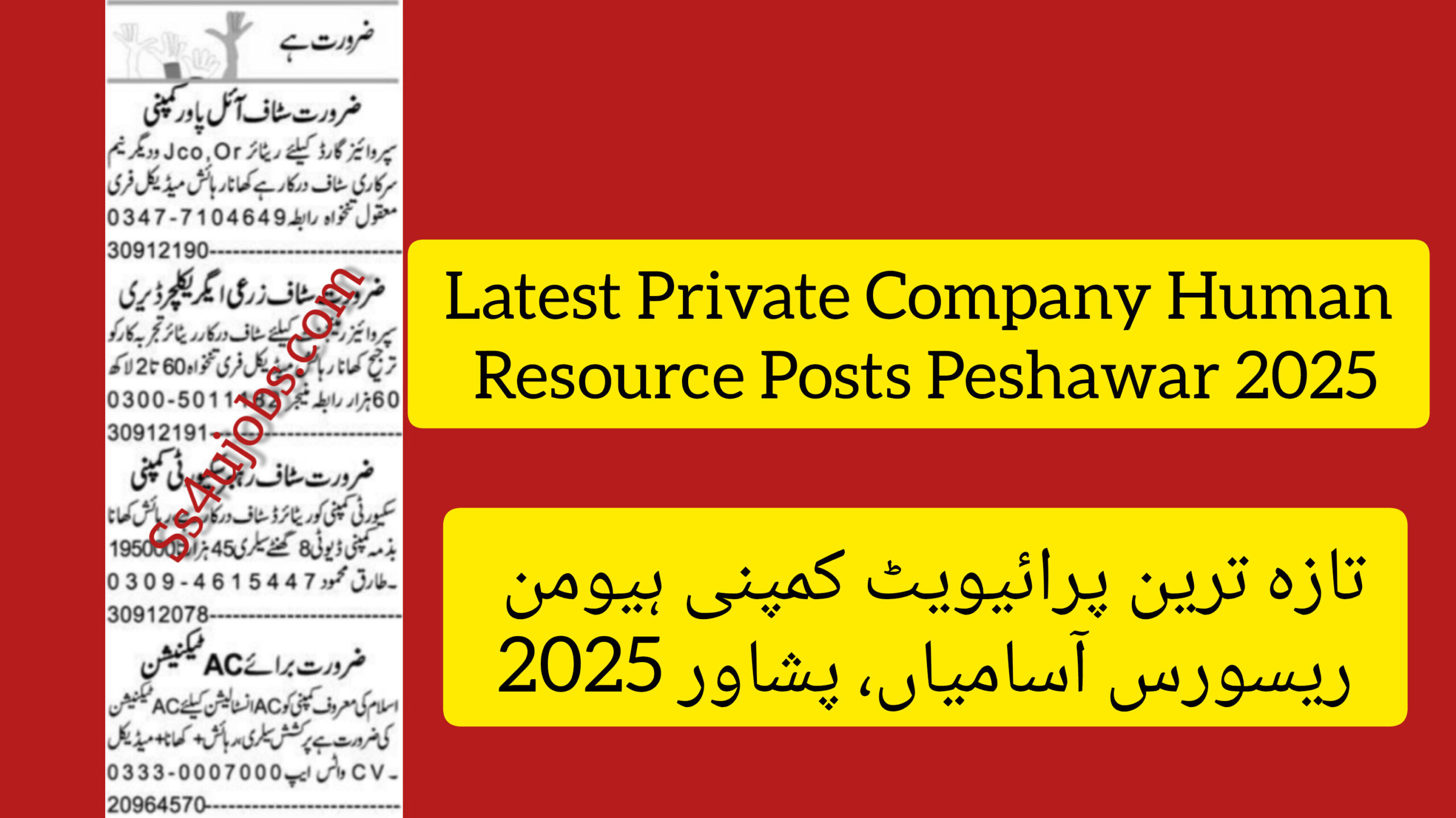 Latest Private Company Human Resource Posts Peshawar 2025