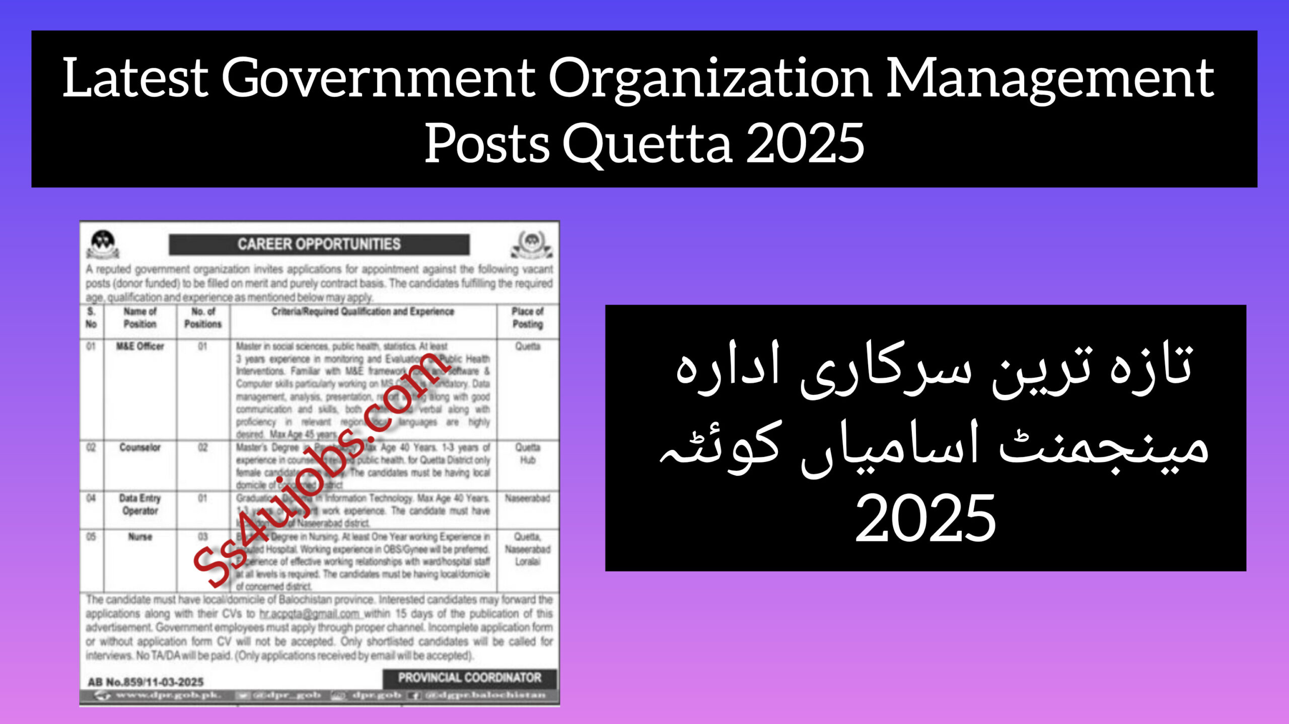 Latest Government Organization Management Posts Quetta 2025