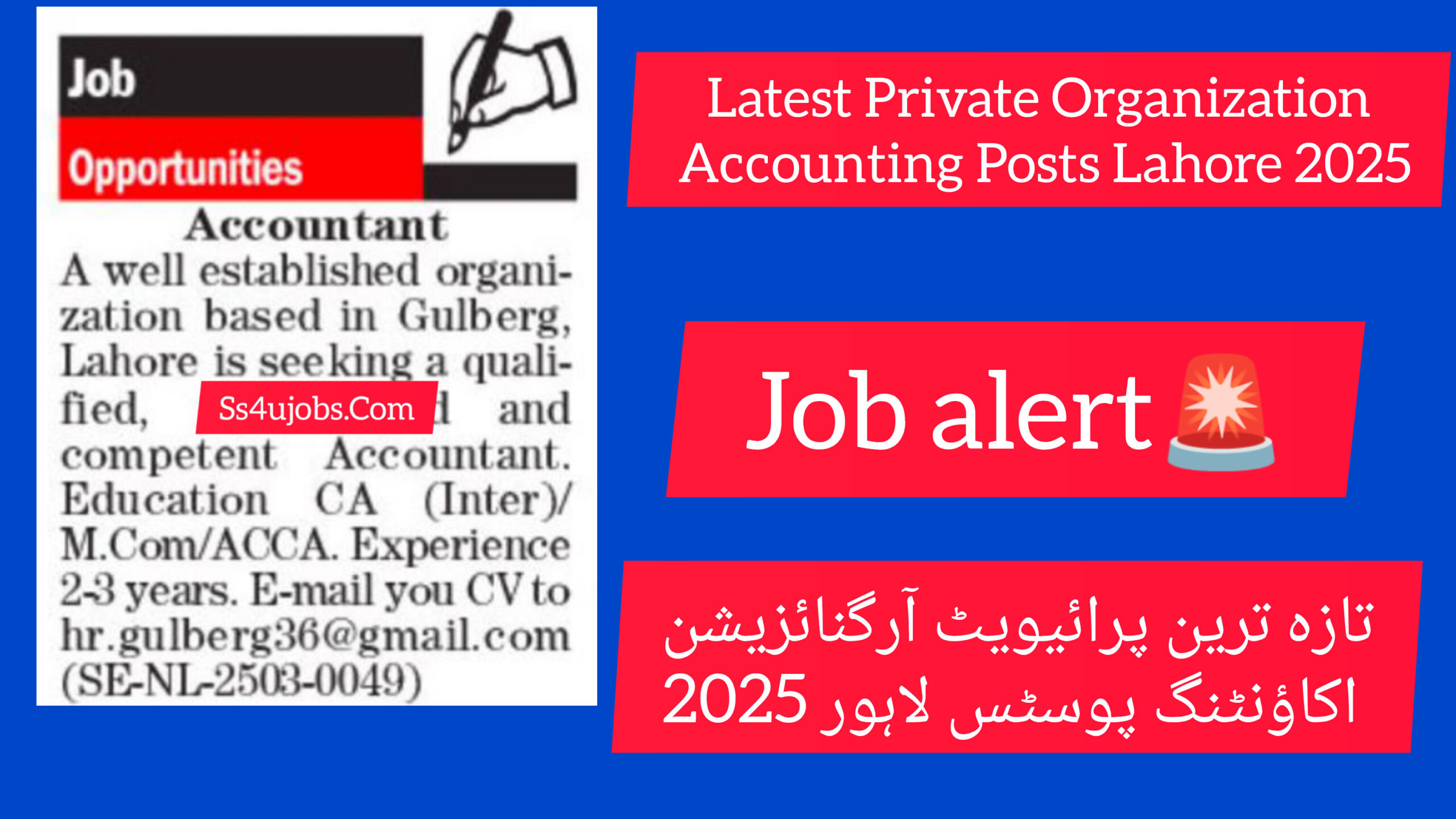 Latest Private Organization Accounting Posts Lahore 2025